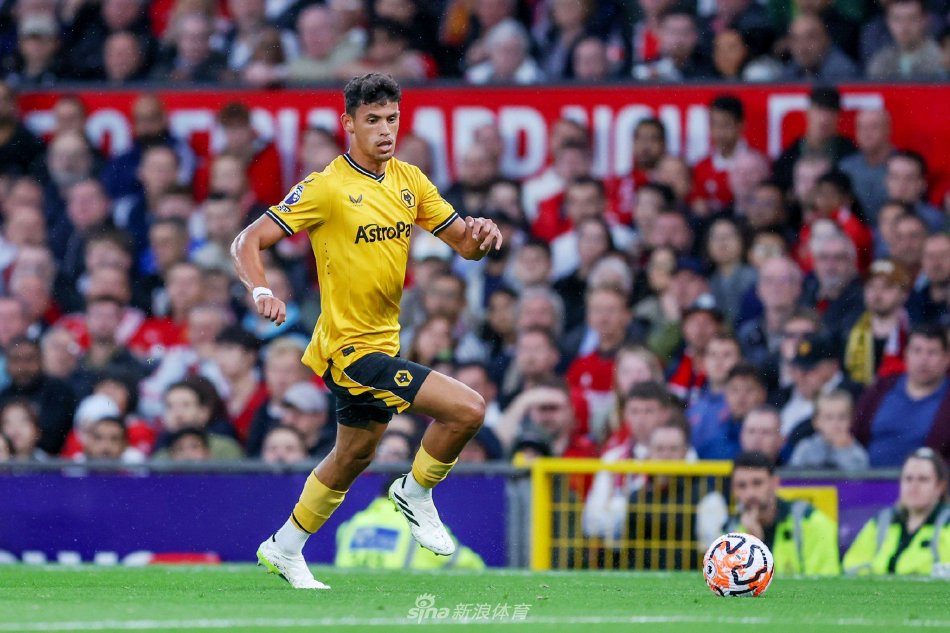 极大地提高 极大地提高